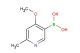 4-methoxy-6-methylpyridin-3-ylboronic acid