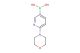 (6-morpholinopyridin-3-yl)boronic acid