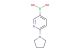 (6-(pyrrolidin-1-yl)pyridin-3-yl)boronic acid