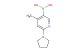 (4-methyl-6-(pyrrolidin-1-yl)pyridin-3-yl)boronic acid