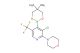 4-(3-chloro-4-(5,5-dimethyl-1,3,2-dioxaborinan-2-yl)-5-(trifluoromethyl)pyridin-2-yl)morpholine