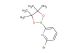 2-bromo-6-(4,4,5,5-tetramethyl-1,3,2-dioxaborolan-2-yl)pyridine