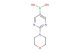 (2-morpholinopyrimidin-5-yl)boronic acid