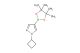 1-cyclobutyl-4-(4,4,5,5-tetramethyl-1,3,2-dioxaborolan-2-yl)-1H-pyrazole