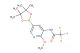 2,2,2-trifluoro-N-(2-methoxy-5-(4,4,5,5-tetramethyl-1,3,2-dioxaborolan-2-yl)pyridin-3-yl)acetamide