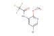 N-(5-bromo-2-methoxypyridin-3-yl)-2,2,2-trifluoroacetamide
