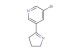 3-bromo-5-(3,4-dihydro-2H-pyrrol-5-yl)pyridine