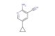 2-amino-5-cyclopropylnicotinonitrile