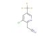 2-(3-chloro-5-(trifluoromethyl)pyridin-2-yl)acetonitrile