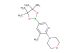 4-(3-methyl-5-(4,4,5,5-tetramethyl-1,3,2-dioxaborolan-2-yl)pyridin-2-yl)morpholine