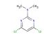 4,6-dichloro-N,N-dimethylpyrimidin-2-amine