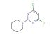 4,6-dichloro-2-(piperidin-1-yl)pyrimidine