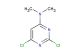 2,6-dichloro-N,N-dimethylpyrimidin-4-amine