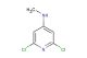 2,6-dichloro-N-methylpyridin-4-amine