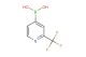2-(trifluoromethyl)pyridin-4-ylboronic acid
