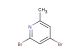 2,4-dibromo-6-methylpyridine