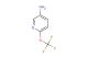 6-(trifluoromethoxy)pyridin-3-amine