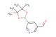 5-(4,4,5,5-tetramethyl-1,3,2-dioxaborolan-2-yl)nicotinaldehyde