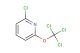 2-chloro-6-(trichloromethoxy)pyridine