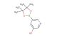 5-(4,4,5,5-tetramethyl-1,3,2-dioxaborolan-2-yl)pyridin-3-ol