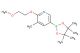 2-(2-methoxyethoxy)-3-methyl-5-(4,4,5,5-tetramethyl-1,3,2-dioxaborolan-2-yl)pyridine