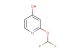 2-(difluoromethoxy)pyridin-4-ol