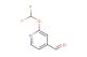 2-(difluoromethoxy)isonicotinaldehyde