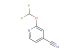 2-(difluoromethoxy)isonicotinonitrile