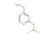 (2-(difluoromethoxy)pyridin-4-yl)methanamine