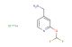 (2-(difluoromethoxy)pyridin-4-yl)methanamine hydrochloride