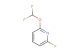 2-(difluoromethoxy)-6-fluoropyridine