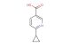 6-cyclopropylnicotinic acid