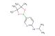N-isopropyl-5-(4,4,5,5-tetramethyl-1,3,2-dioxaborolan-2-yl)pyridin-2-amine
