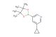 3-cyclopropyl-5-(4,4,5,5-tetramethyl-1,3,2-dioxaborolan-2-yl)pyridine