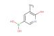 6-hydroxy-5-methylpyridin-3-ylboronic acid