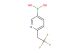 6-(2,2,2-trifluoroethyl)pyridin-3-ylboronic acid