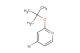 4-bromo-2-tert-butoxypyridine