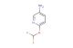 6-(difluoromethoxy)pyridin-3-amine