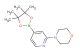 4-(4-(4,4,5,5-tetramethyl-1,3,2-dioxaborolan-2-yl)pyridin-2-yl)morpholine