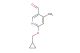 6-(cyclopropylmethoxy)-4-methylnicotinaldehyde