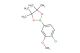 2-(4-chloro-3-methoxyphenyl)-4,4,5,5-tetramethyl-1,3,2-dioxaborolane