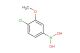 4-chloro-3-methoxyphenylboronic acid