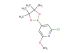 2-chloro-6-methoxy-4-(4,4,5,5-tetramethyl-1,3,2-dioxaborolan-2-yl)pyridine