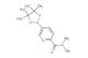 N,N-dimethyl-5-(4,4,5,5-tetramethyl-1,3,2-dioxaborolan-2-yl)picolinamide