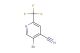 5-bromo-2-(trifluoromethyl)isonicotinonitrile