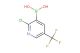 2-chloro-5-(trifluoromethyl)pyridine-3-boronic acid