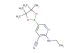 2-(ethylamino)-5-(4,4,5,5-tetramethyl-1,3,2-dioxaborolan-2-yl)nicotinonitrile