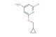2-chloro-6-(cyclopropylmethoxy)pyridin-4-amine