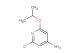 2-chloro-6-isopropoxypyridin-4-amine