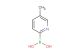 5-methylpyridin-2-ylboronic acid